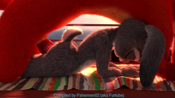 animated furry porn