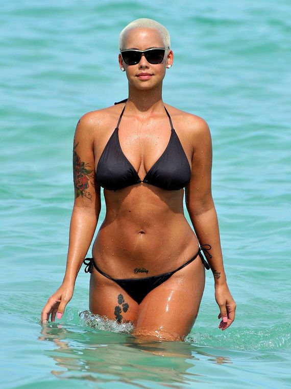 Amber Rose Bush Pictures for camera
