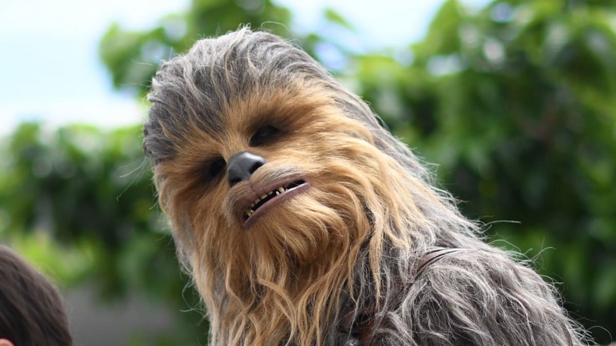 brittany gavin share pictures of chewy from star wars photos