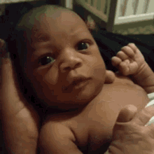 Best of Baby giving the finger gif