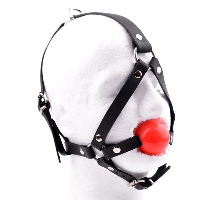 chin pau lin recommends ball gag harness pic