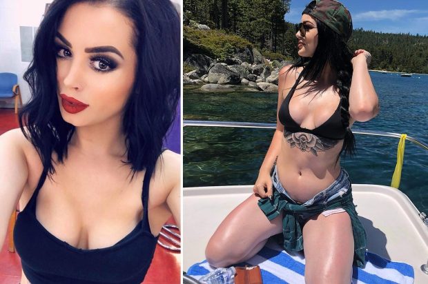 dale arbogast recommends wwe paige sex photos pic