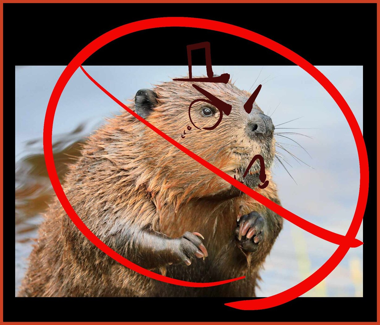 darrell mcneill recommends Beaver Hunt Pics