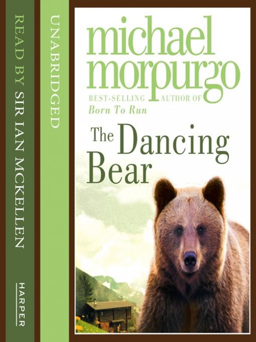 brian vangilder share best of dancing bear photos