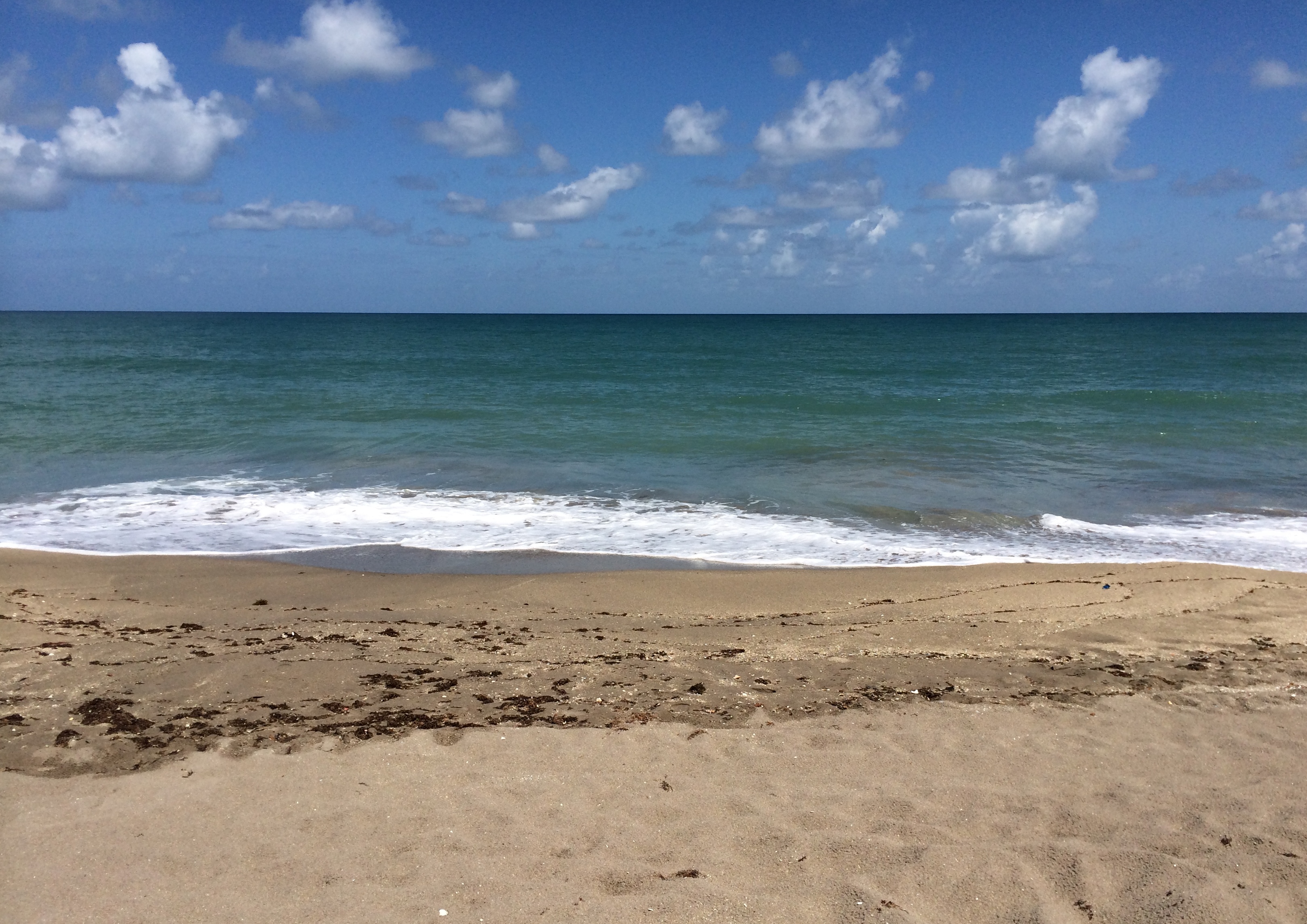 colin oatley share blind creek beach forum photos