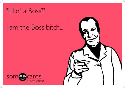 doug hollenbeck recommends boss is a bitch meme pic