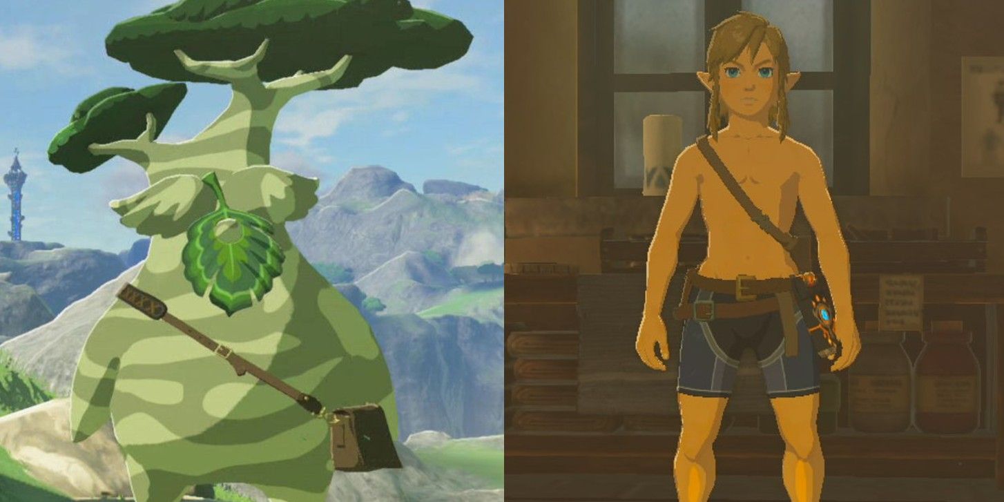 daniel del campo recommends breath of the wild link naked pic