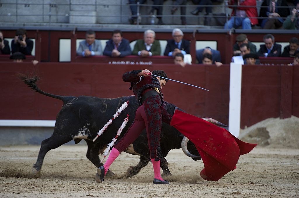 Best of Bull fights gone bad