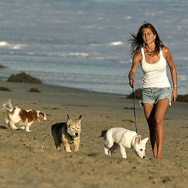 aditi pokhrel recommends Jennifer Aniston Beach Walk