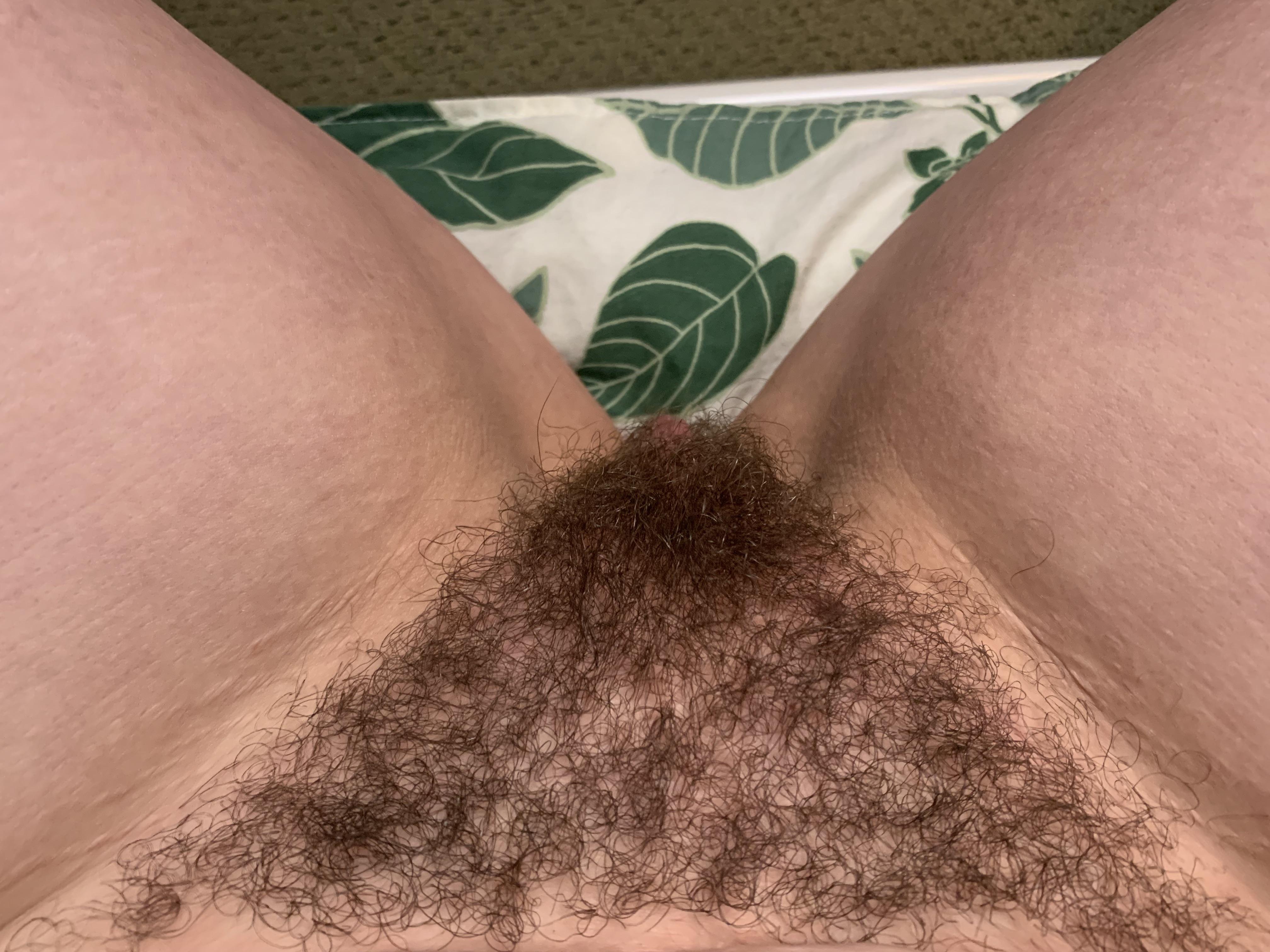 adam sisler recommends landing strip vagina pics pic