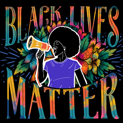 dont bother recommends black lives dont matter gif pic