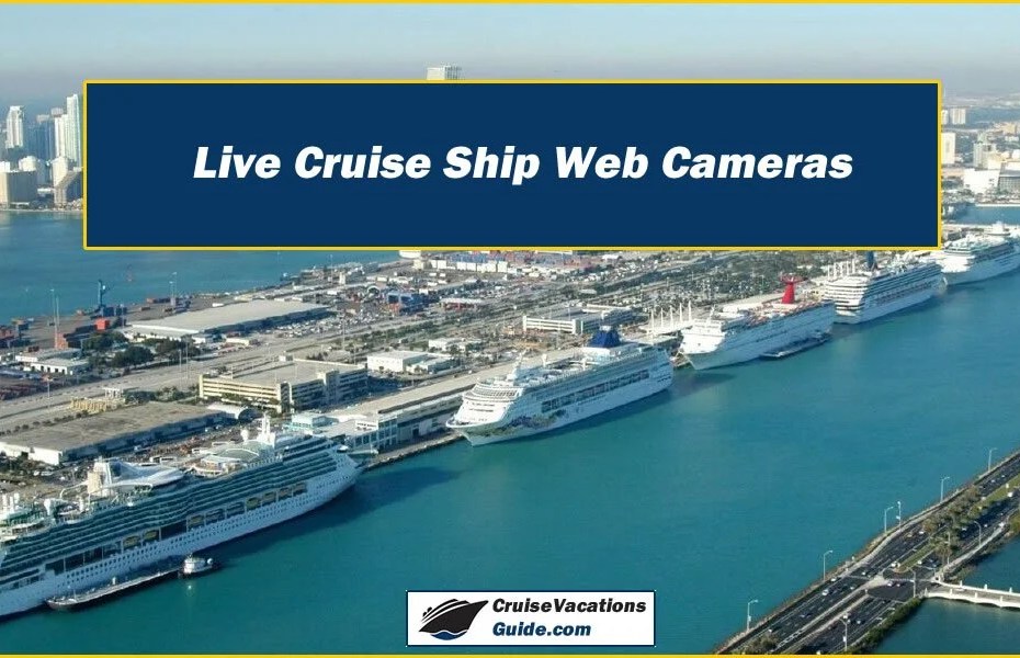 anthony bair recommends carnival dream web cam pic