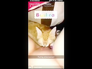 chris stenlund add cat licking pussy video photo