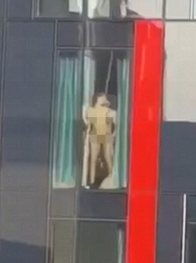 Nude In Hotel Window peluche porno
