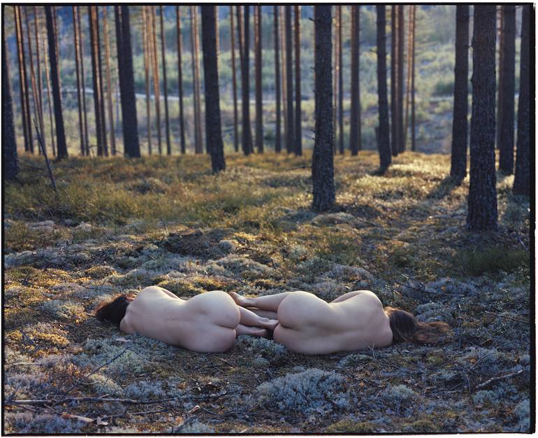bambi knight recommends The Forest Nudity