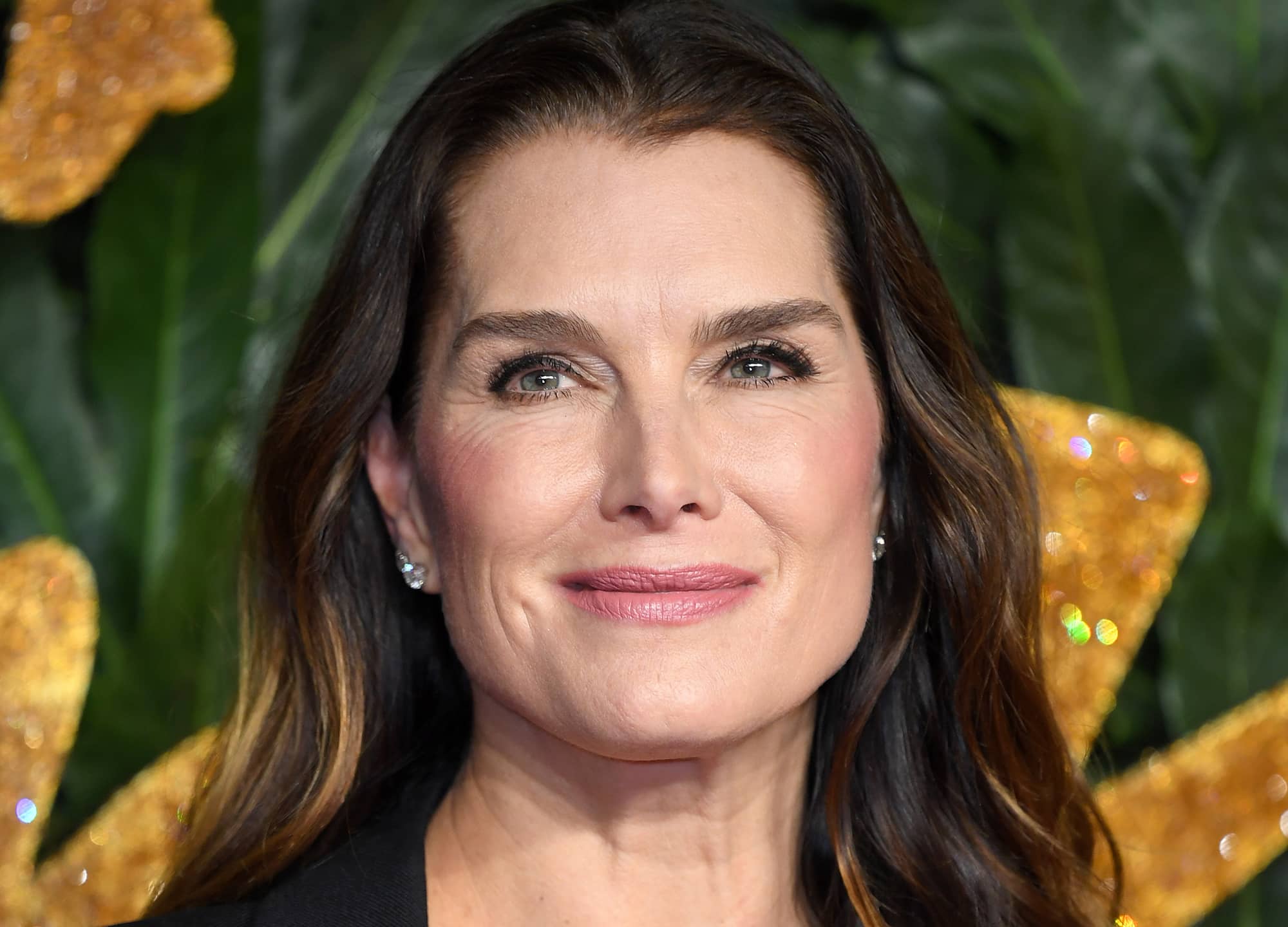 annie rowland recommends brooke shields breasts pic