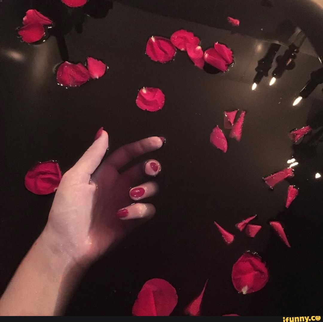 romantic rose petals on bed meme