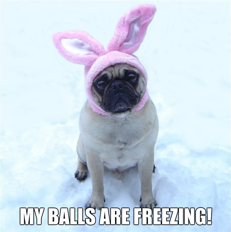 cate dyer recommends Freezing My Balls Off Meme