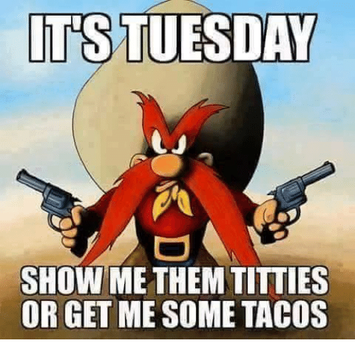 chris carnohan recommends titty tuesday memes pic