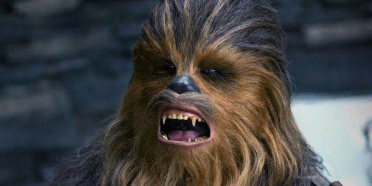 cutter wolf recommends pictures of chewbacca pic