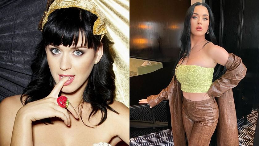 dianne barclay recommends Katy Perry Hottest Pictures