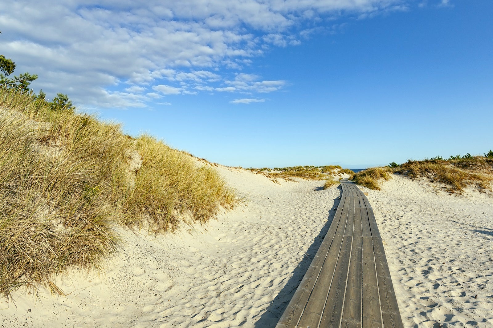 david hentz add photo nude beaches in sweden