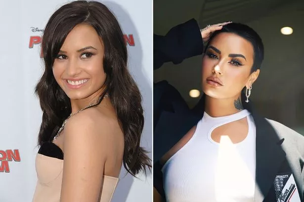 anayeli aguilera recommends Demi Lovato Porn Look Alike