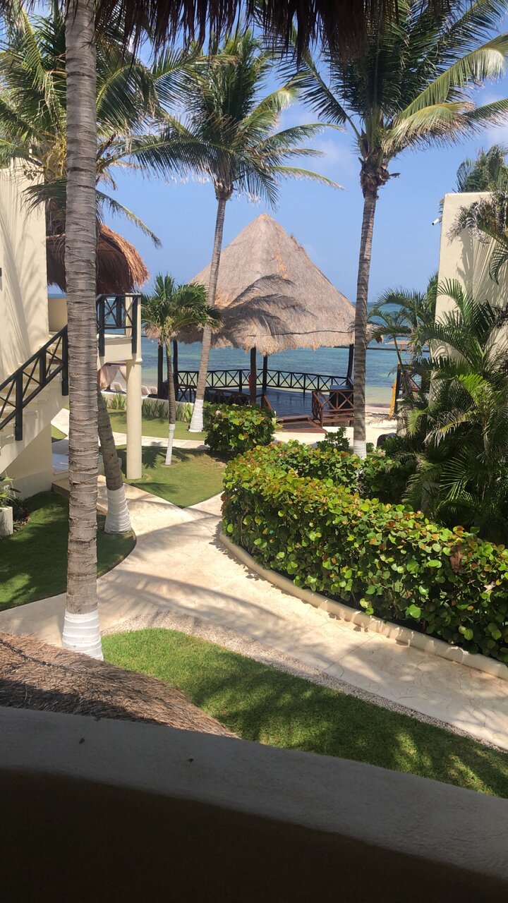 brittany modisette recommends Desire Resorts Mexico Forum