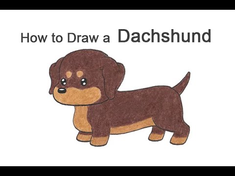 draw so cute weenie