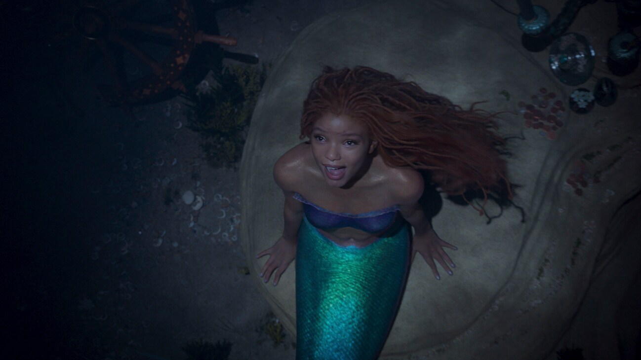 didin hasan add photo the mermaid movie download
