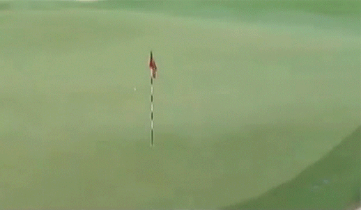 danny jarin recommends Golf Hole In One Gif