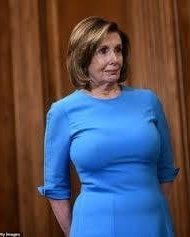 bill homes recommends nancy pelosi naked pic