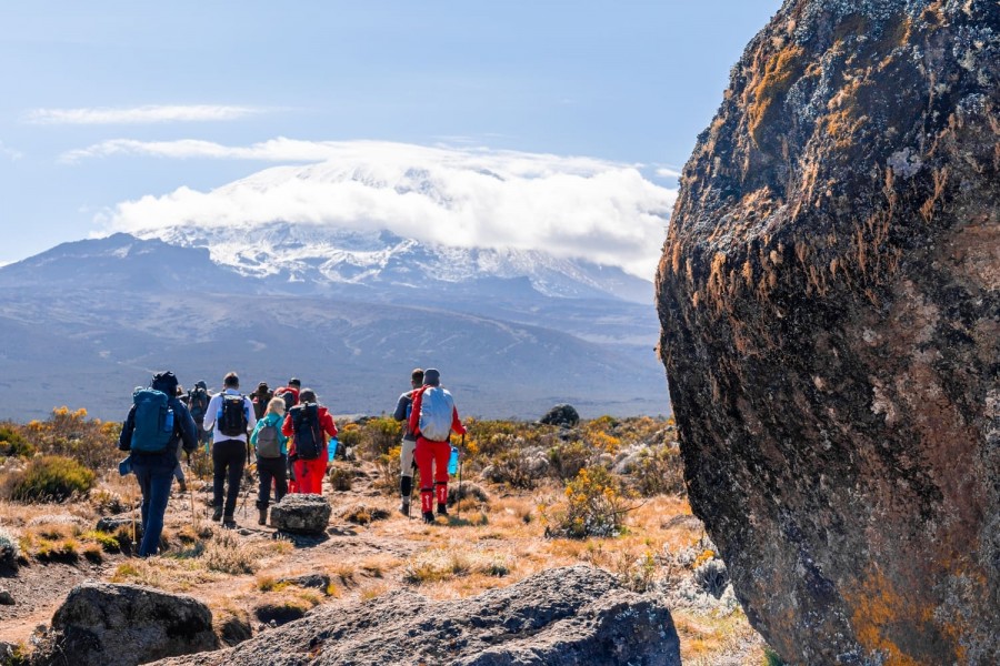 bruce hardial share predators of kilimanjaro 2 photos