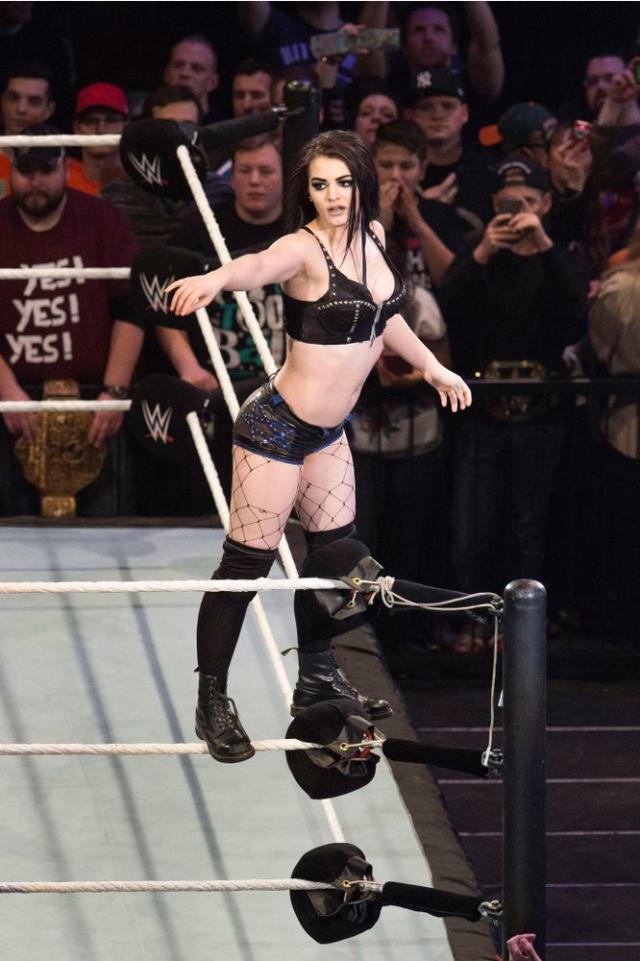 damian fernandes recommends Wwe Superstar Paige Nude