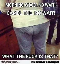 ac cobb add funny camel toe pictures photo