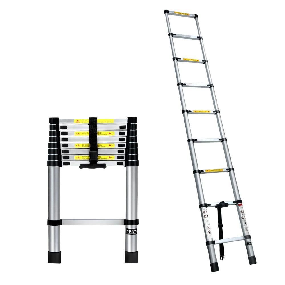 ladder on your dick