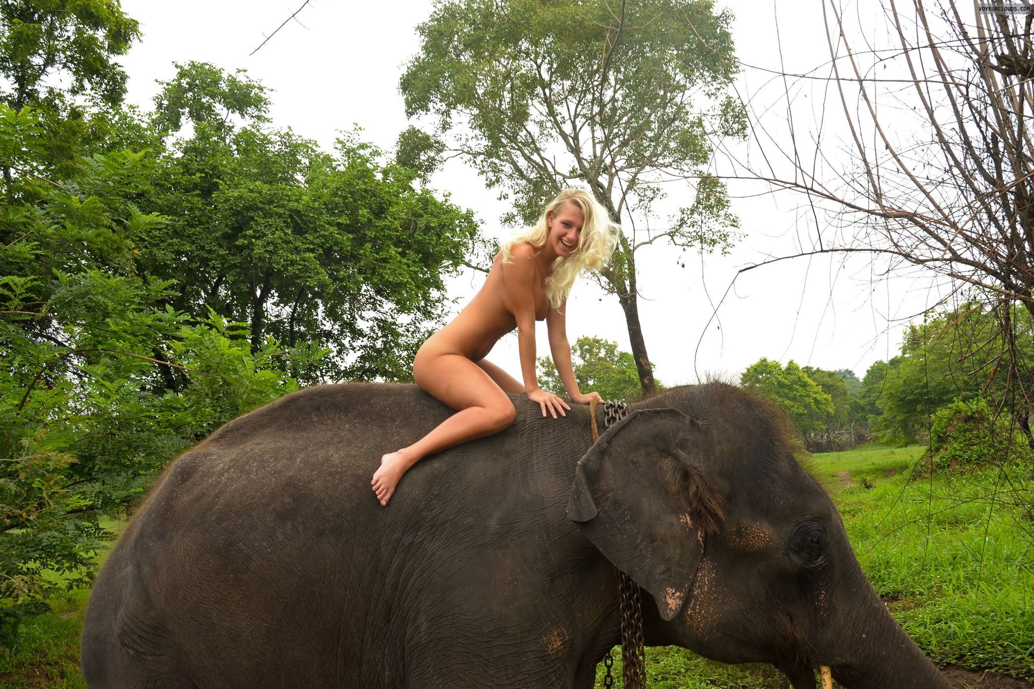 Best of Elephant and girl porn