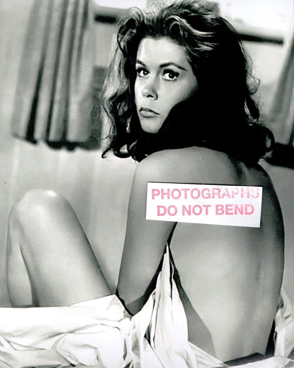 davian foster add photo elizabeth montgomery sexy pictures