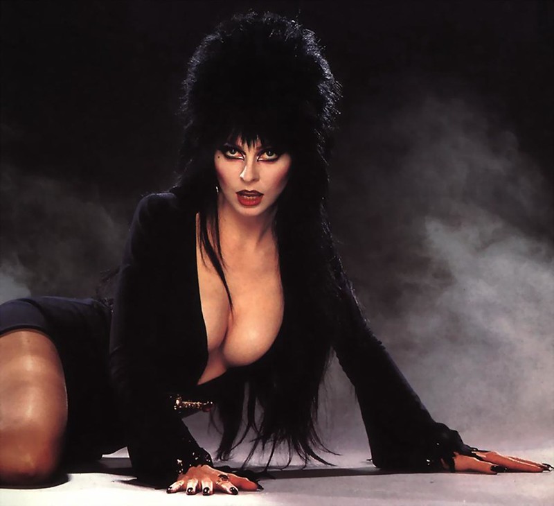 cameron harville recommends Elvira Mistress Of The Night Pictures