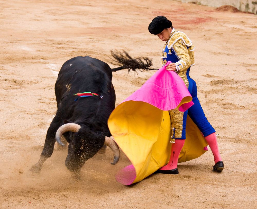 Bull Fights Gone Bad hand models