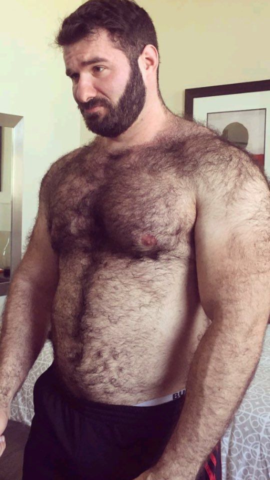 august robinson recommends hairy bear muscle men pic