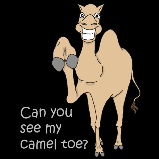 corey stansbury recommends funny camel toe pictures pic