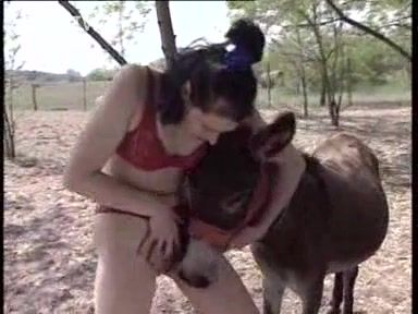 aaron placke recommends girl has sex with donkey pic