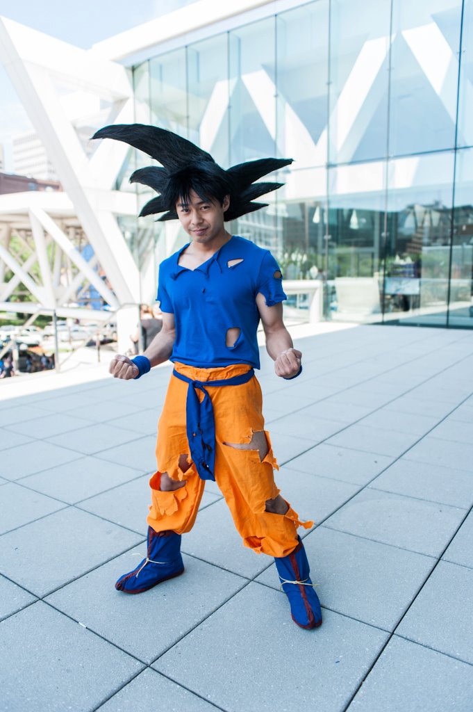 Best of Goku costume adults