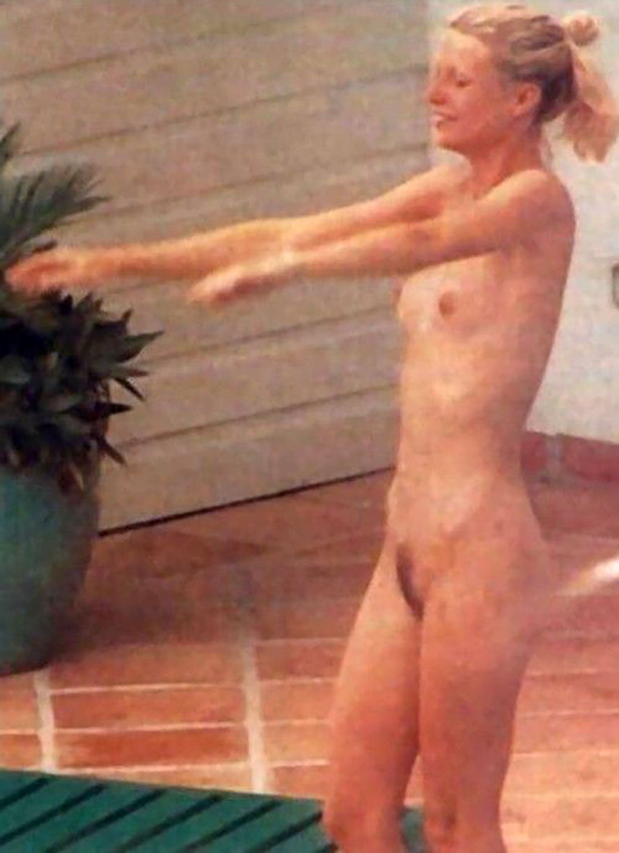 gwyneth paltrow nude