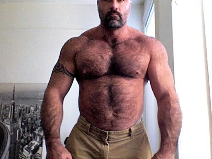 Best of Hairy bear muscle men