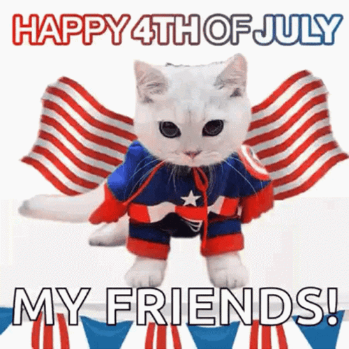 Best of Happy 4th of july funny gif