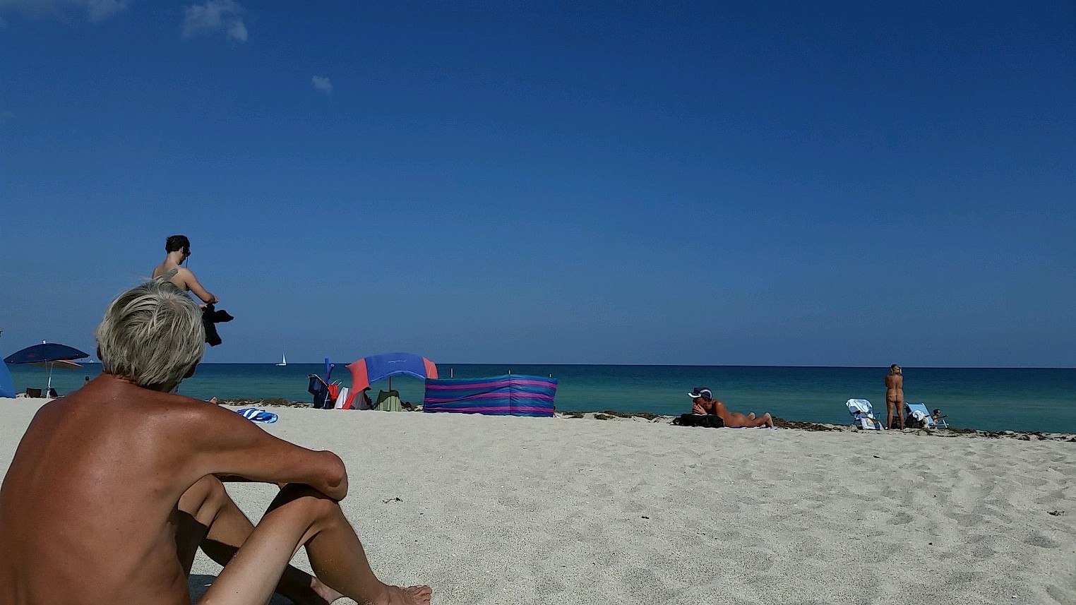 david lingerfelt recommends haulover nudist beach miami pic