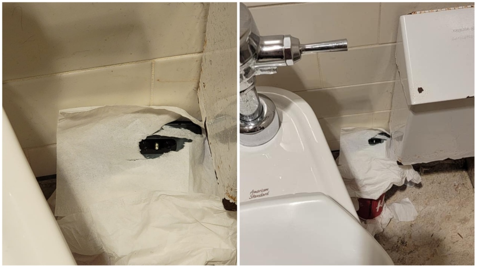 aaron ogilvie recommends Hidden Camera In Ladies Bathroom