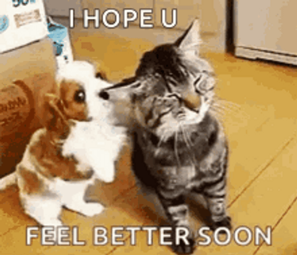Best of Hope your day gets better gif